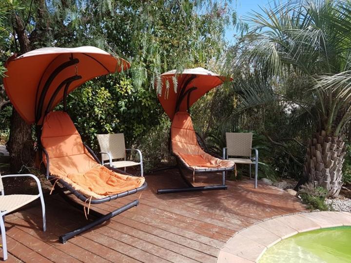 Appartement Les Palmiers Toulon Extérieur photo